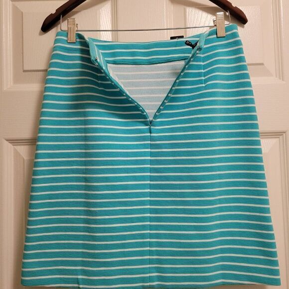 Talbots skirt size 2p  - Picture 7 of 10